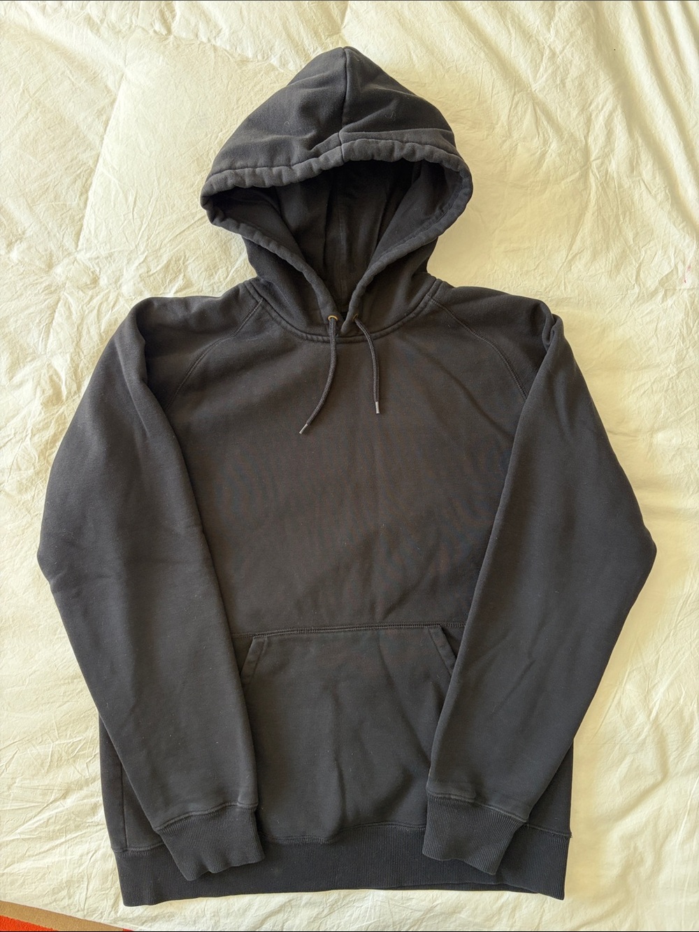 Men’s Carhartt WIL Chase Sweat Hoodie